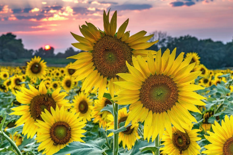 2025/26 UPDATED HMIS and CES Training