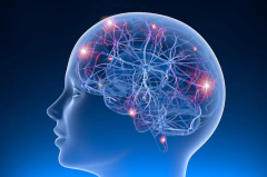 Epilepsy Essentials