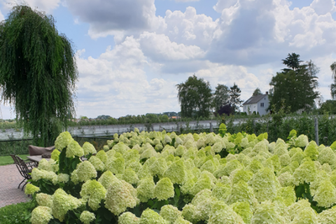 Groenvoorziening licentiecursus onderdeel Teelt
