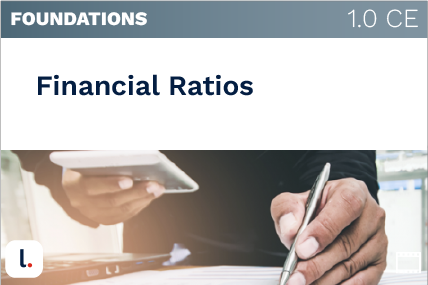 Financial Ratios (LCI1113)