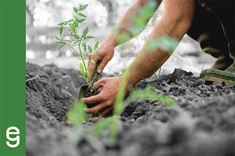 Introduction to Wellness and Resilience