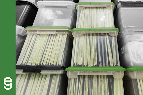 Ballot Accounting: Perfecting Inventory Management