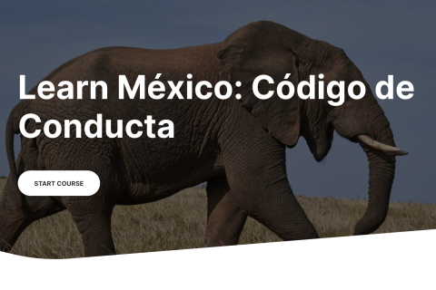 (Nivel básico Rise) - Código de conducta Learn México (01)