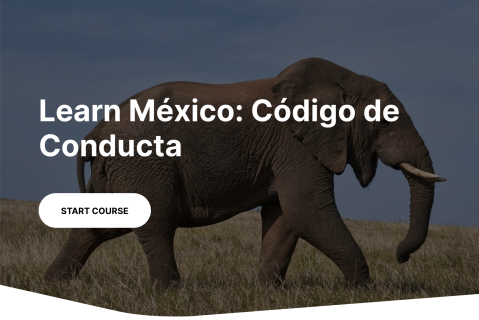 Demo desarrollo de cursos Learn México Demo desarrollo de cursos Learn México