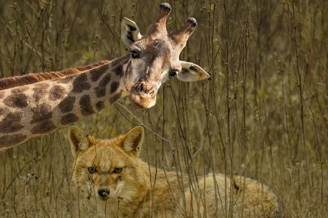 Communiceer verbindend