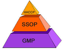 PRERREQUISITOS GRUPO PEÑAFIEL (KDP003A)