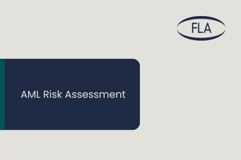 AML Risk Assessment (FLAAMLRISKA)
