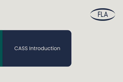 CASS Introduction (flaCASS2023)