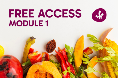 Free Trial: Module 1 (MODULE-1-free-trial)