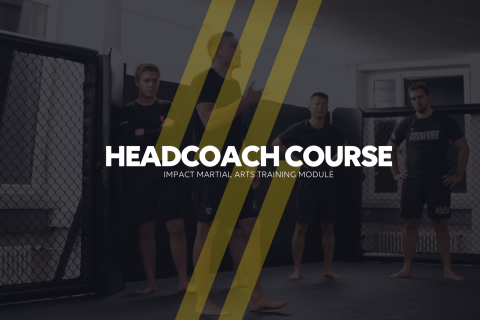 Head Coach Guidelines