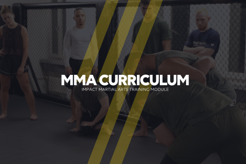 MMA Curriculum