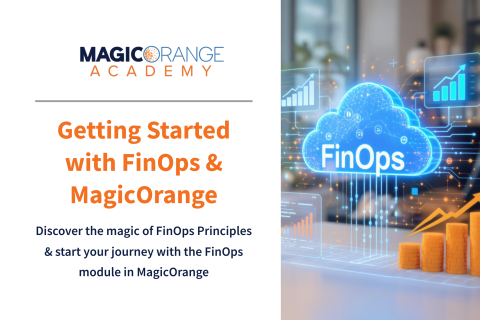 Getting Started with FinOps & MagicOrange (0222)