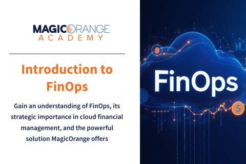 Introduction to FinOps (0220)