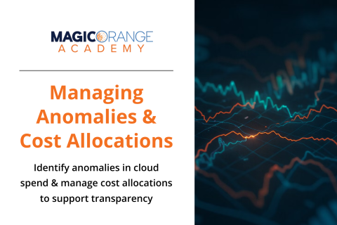 FinOps : Managing Anomalies & Cost Allocation (0226)