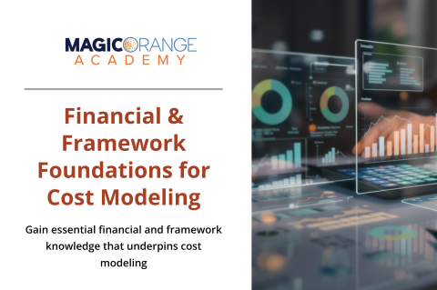 Financial & Framework Foundations for Cost Modelling (0204)