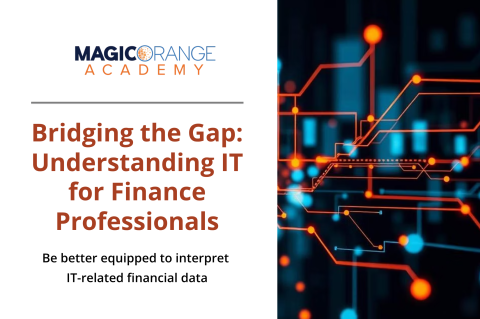 Bridging the Gap: Understanding IT for Finance Professionals (0205)