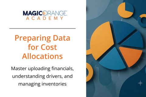 Preparing Data for Cost Allocations (0250)