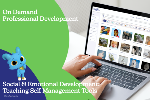 ON DEMAND Social Emotional Development (let's learn) (let's learn - 3)