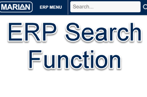 ERP - Search Function