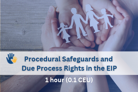 Procedural Safeguards and Due Process Rights in the Early Intervention Program - 1 hour (0.1 CEU)