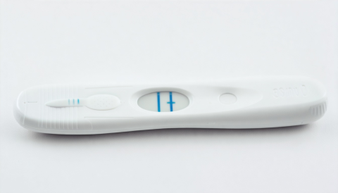 1stQ 2026 |Guidelines for Pregnancy Testing