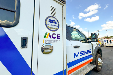 Braun Type 1 Driving Course