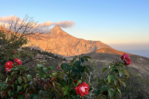 2026 Natural & Cultural Heritage Approaches in BRs & other designated areas in the Mediterranean