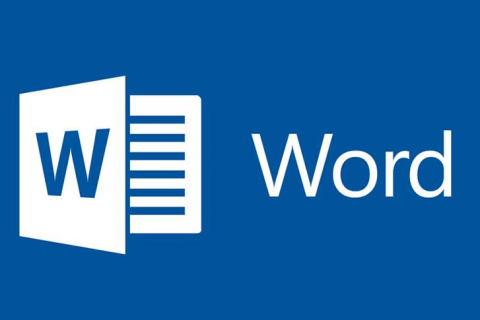 Anwendungen im MS Office - MS Word