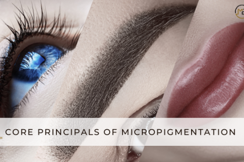 Extended Apprenticeship: Core Principles of Micropigmentation
