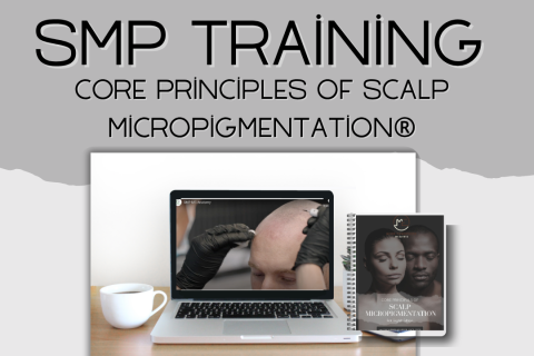 Phase I: Core Principles of SMP (40 hrs)