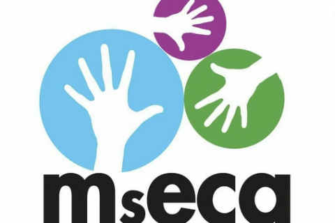 MsECA Conference 2025