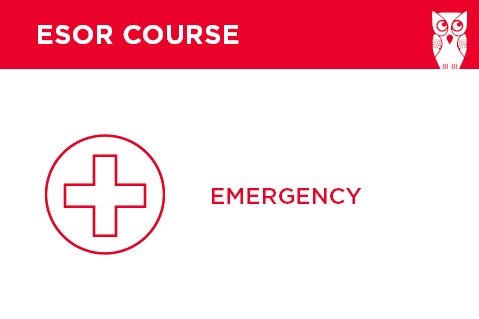 ESOR Asklepios course 2017: Emergency Radiology (528)
