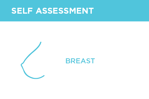 Contrast enhanced mammography (1004)