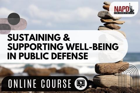 Sustaining and Supporting Well-Being in Public Defense