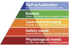 CRE-102: Client Rights and Ethics - Maslow's Hierarchy of Needs (CRE-102)