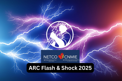 Electrical Safety Arc Flash & Shock Based on Z462:24