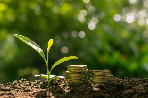 Know Your Money Values (EN-Budget-SS10)
