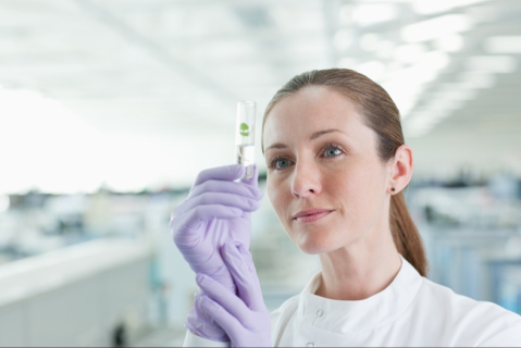 Безпека кормів для домашніх тварин: дієтичний білок