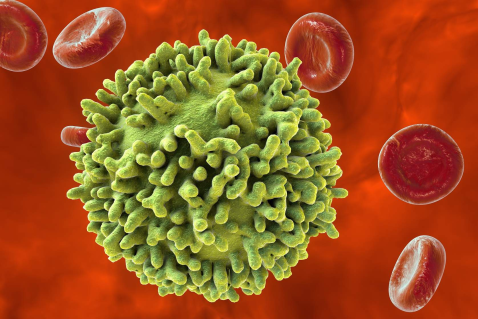 Імунологія