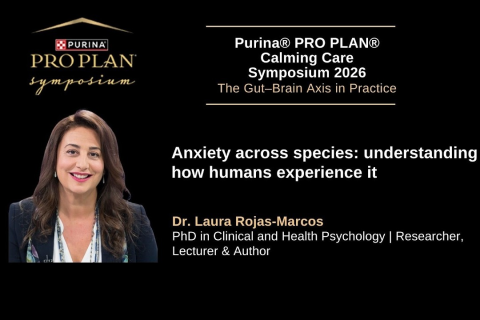 Anxiety Across Species: How Humans and Dogs Experience It Differently by Laura Rojas-Marcos