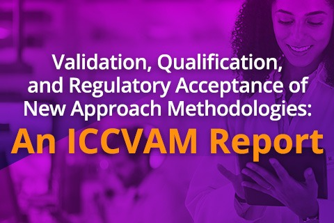 Validation, Qualification, and Regulatory
Acceptance of NAMs:
An ICCVAM Report