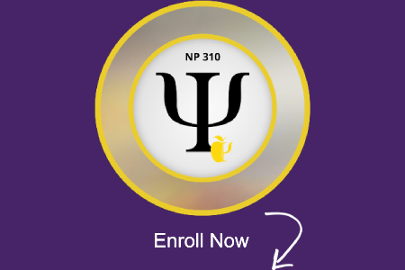 NP 310: Theoretical Models and Foundations in Nutritional Psychology (NP 310)