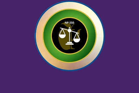 NP 550: Scope of Practice and Ethics in Nutritional Psychology (NP 550)