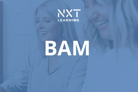 Bra arbetsmiljöarbete (BAM)