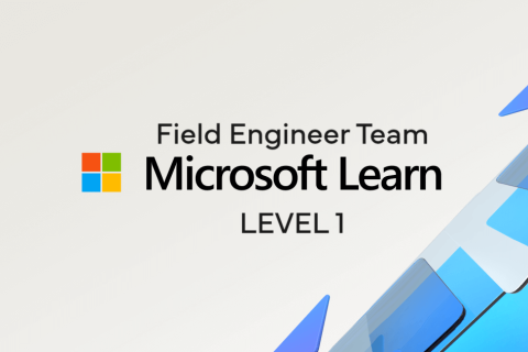 Microsoft Learn - Level 1 (MICROSOFT 1.1)