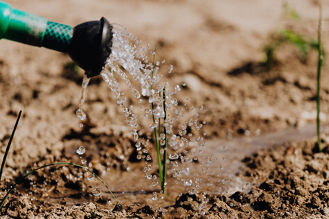 Beginning Advocacy: Planting Seeds in Excellence in Domestic Violence Services (AF110)