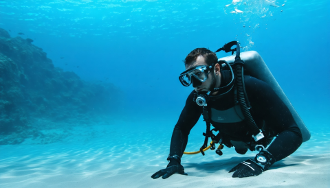 Deep Dive into EOB, Predetermination, Payment Voucher and Claim Status (DDWA)