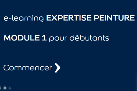 Module 1: Expertise de la peinture pour débutants