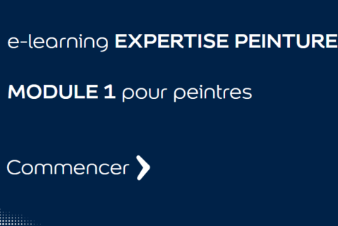 Module 1: Expertise de la peinture pour peintres