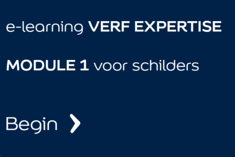 Module 1: Verf expertise voor schilders